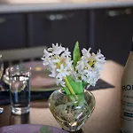 Antigone Appartement
